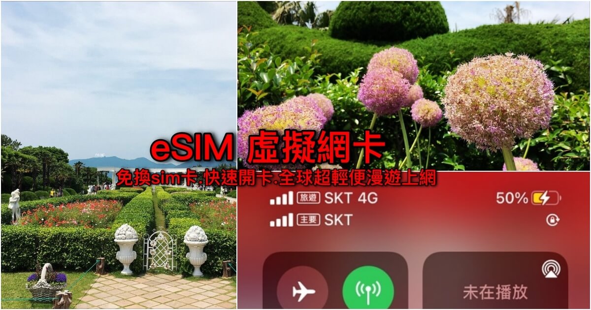 eSIM虛擬網卡