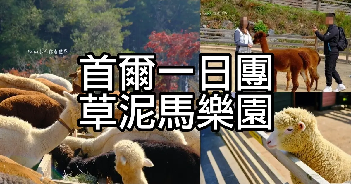 草泥馬樂園