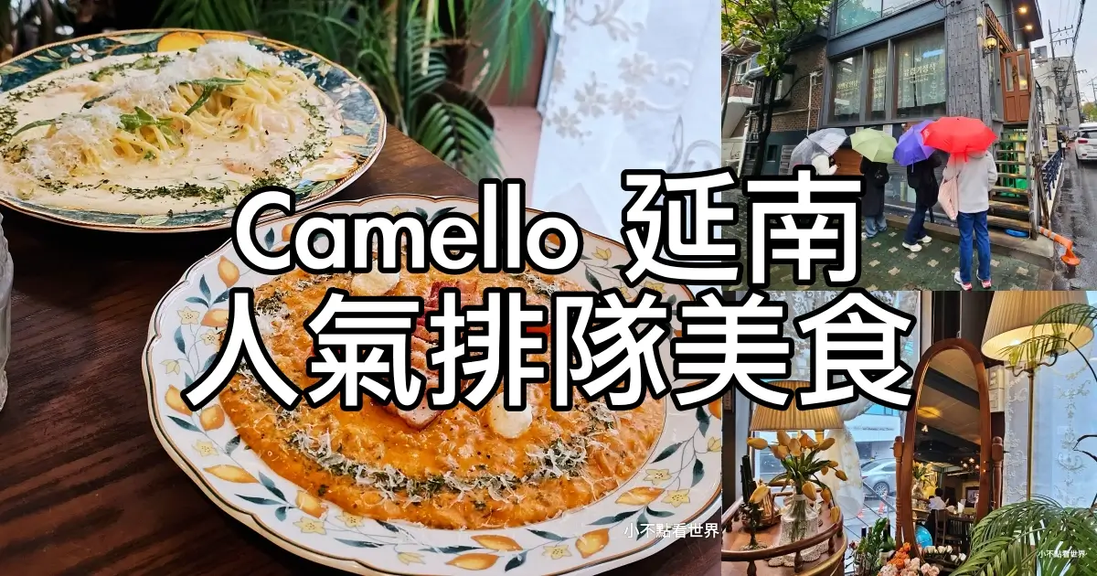 Camello 延南