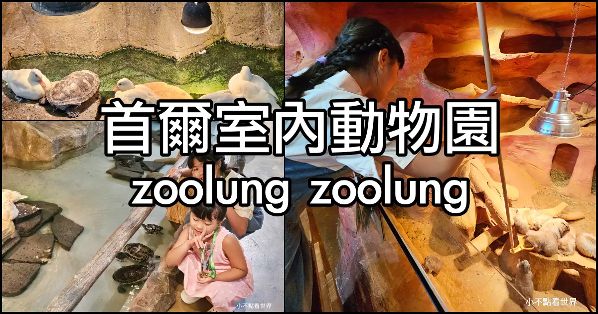 Zoolung Zoolung 室內動物園