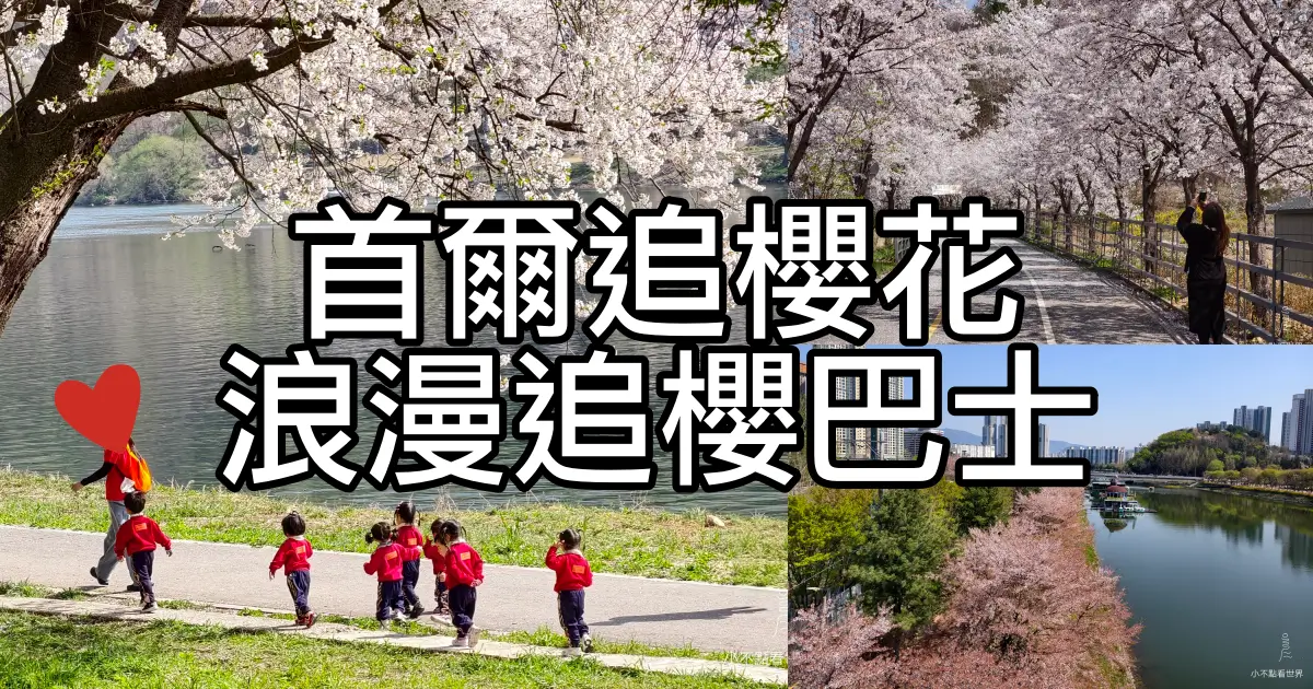首爾追櫻巴士